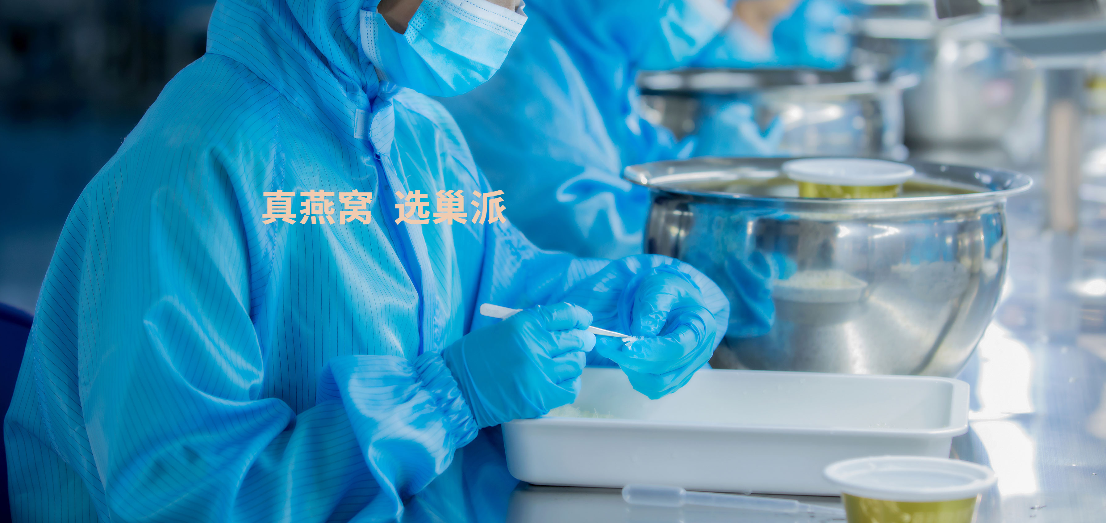 核心优势 巢派燕窝